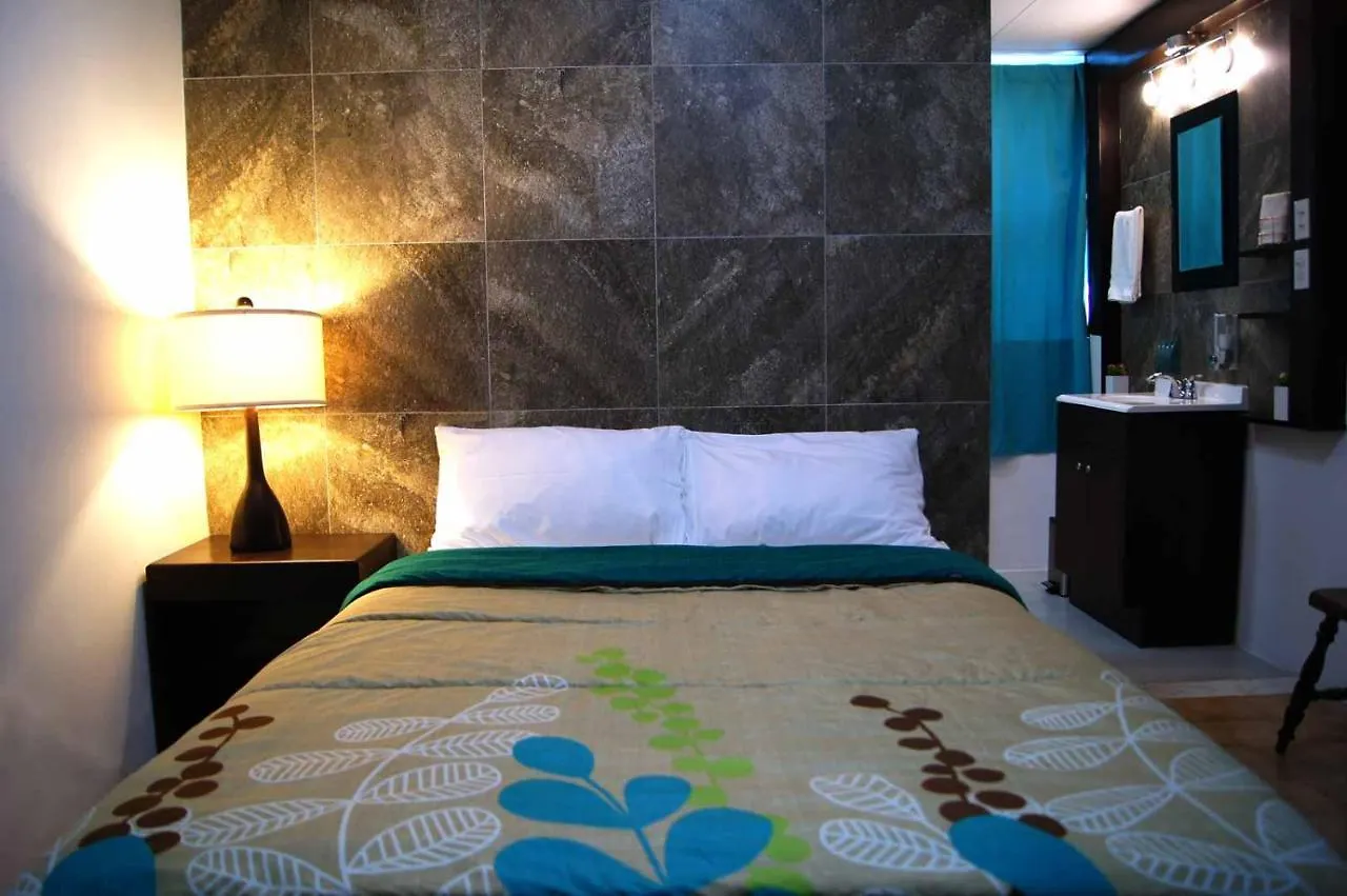 Cabo Tortuga Hotel Boutique Cabo San Lucas